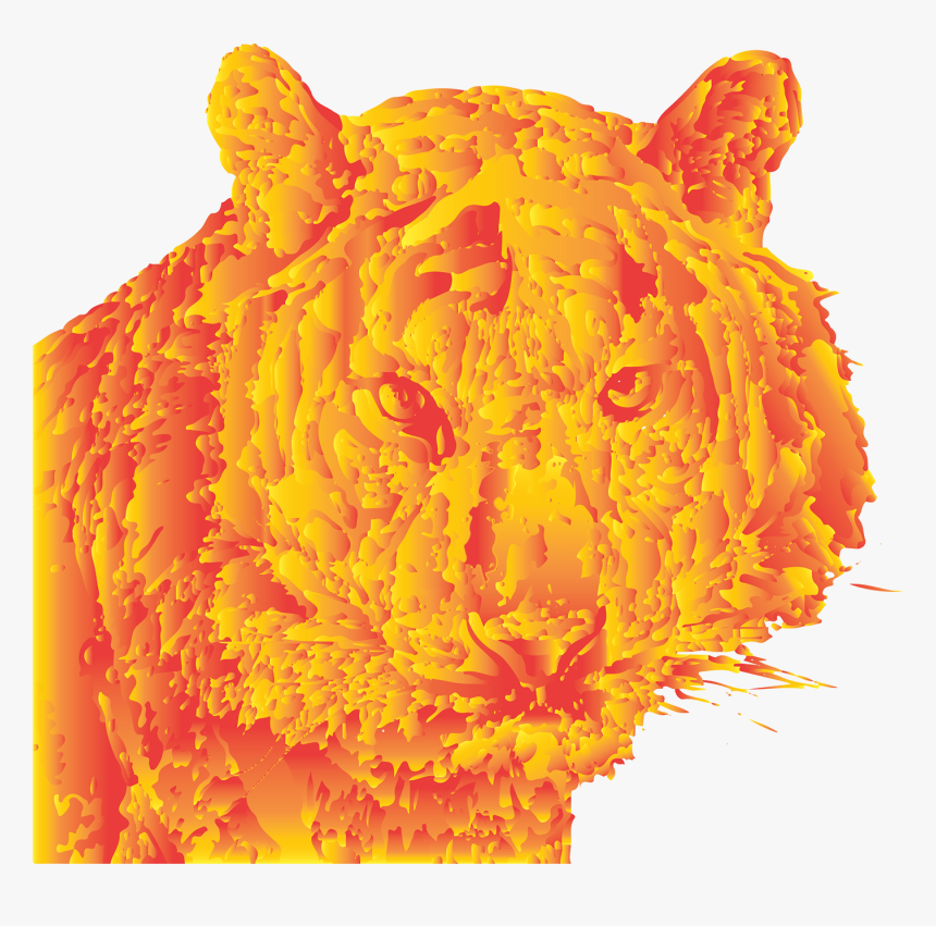 Tiger, HD Png Download