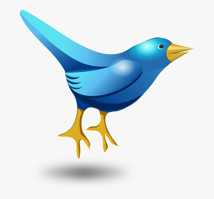 Twitter, Tweet, Bird, Funny, Cute, Blue, Messaging - Bird Cartoon Vector Icon, HD Png Download