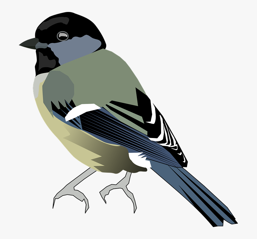 Tit Bird Chickadee Titmice Paridae Passerine Bird - Chickadee Clipart Png, Transparent Png