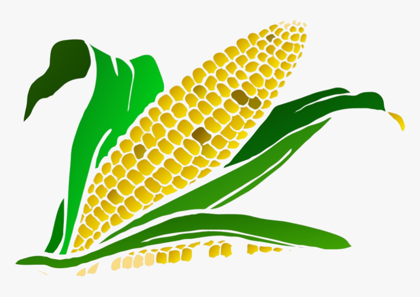 Corn Gradient Clip Art Clipart Free Transparent Png - Corn Maze Clip Art, Png Download