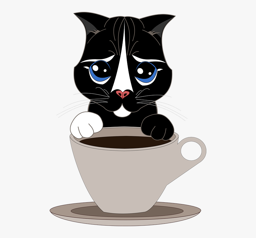 Cat, Pet, Cup, Coffee, Tea, Kitten, Tender, Puppy - Cafe Gato Png, Transparent Png
