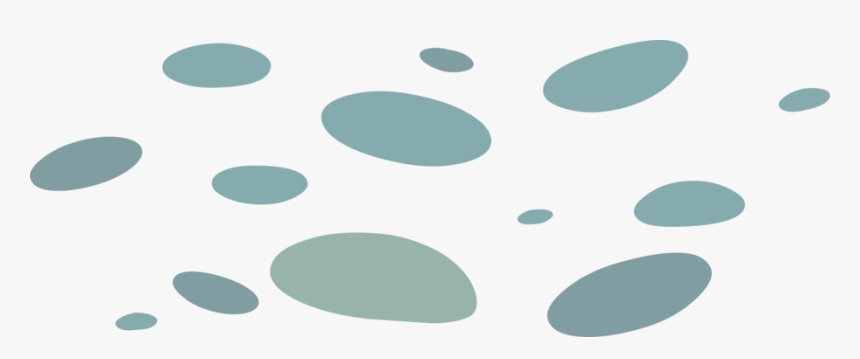 Circle, HD Png Download