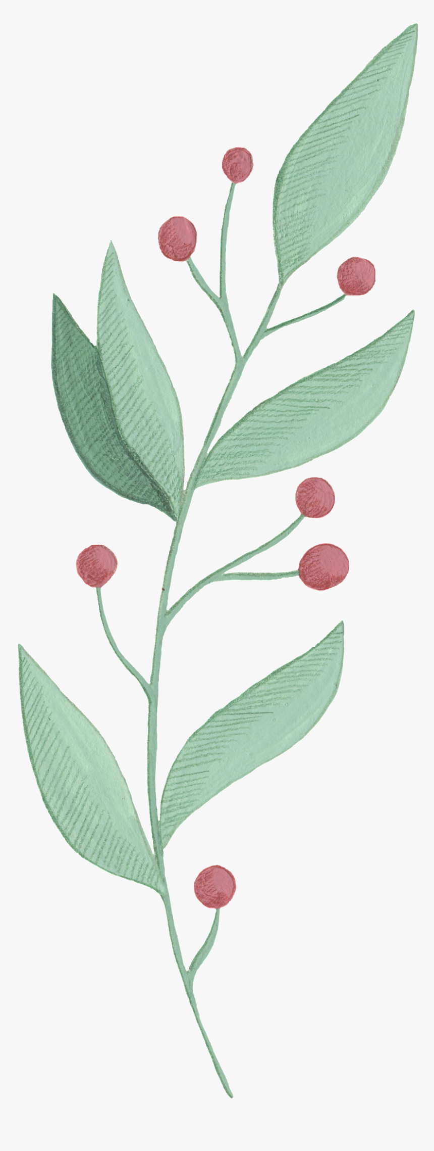 Cartoon Leaf Png Images - Art, Transparent Png
