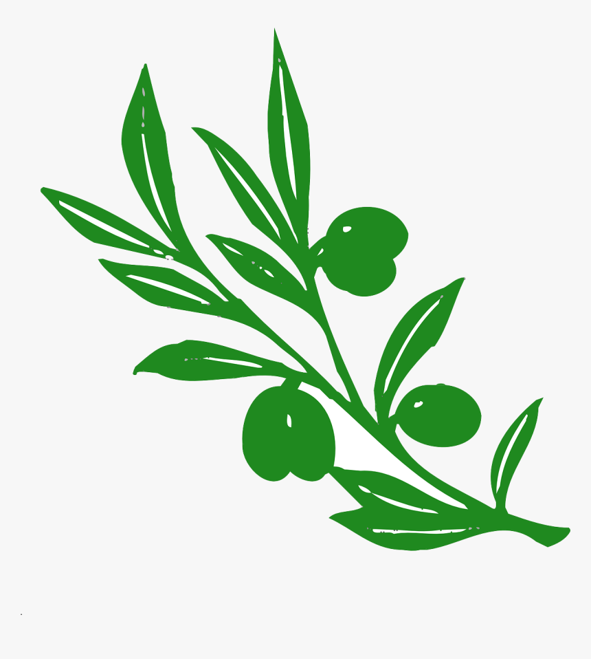 Tree Branches With Leaves Png - Olive Tree Branch Clipart, Transparent Png