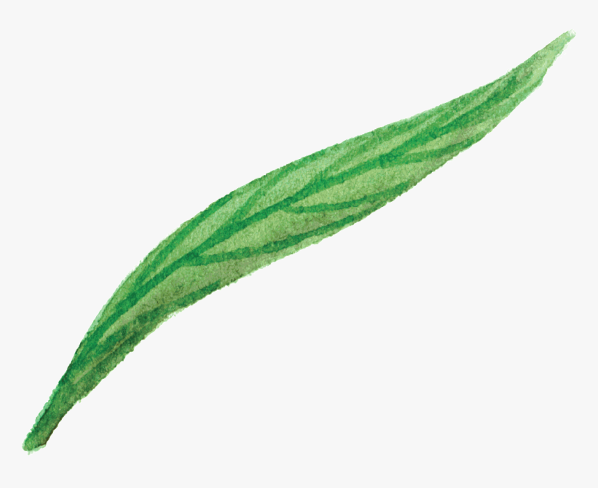 Green Flower Leaf Cartoon Png Transparente - Flower, Png Download