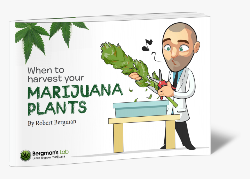 Robert Bergman I Love Growing Marijuana, HD Png Download