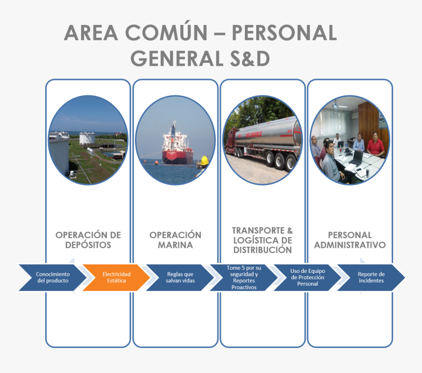 Circle, HD Png Download