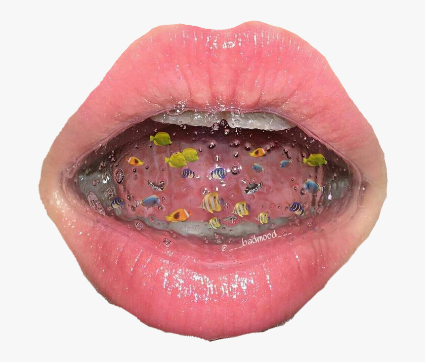 Aesthetic Makeup, HD Png Download