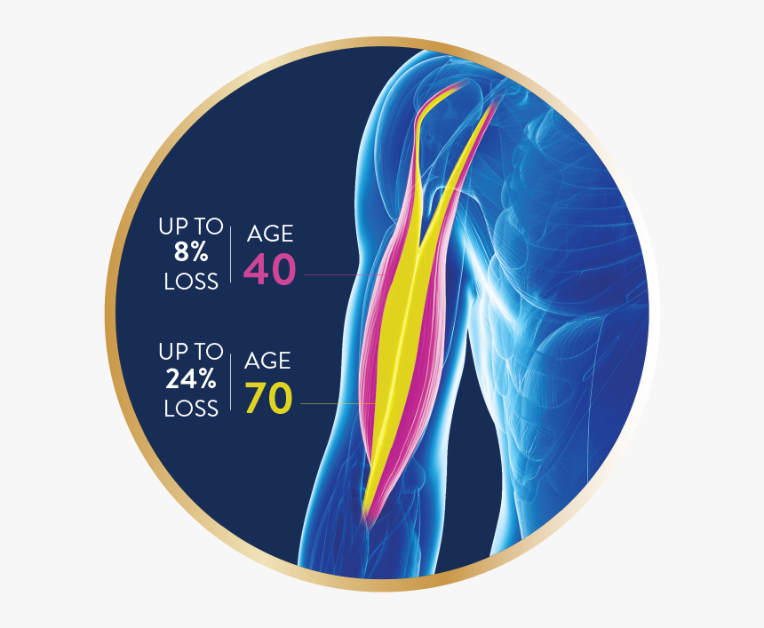 Ensure Powder Age Limit, HD Png Download