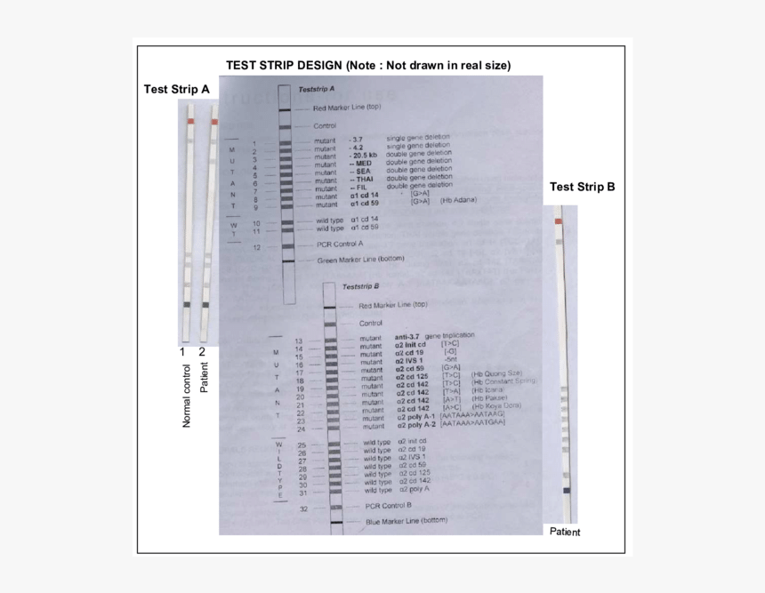 Screenshot, HD Png Download