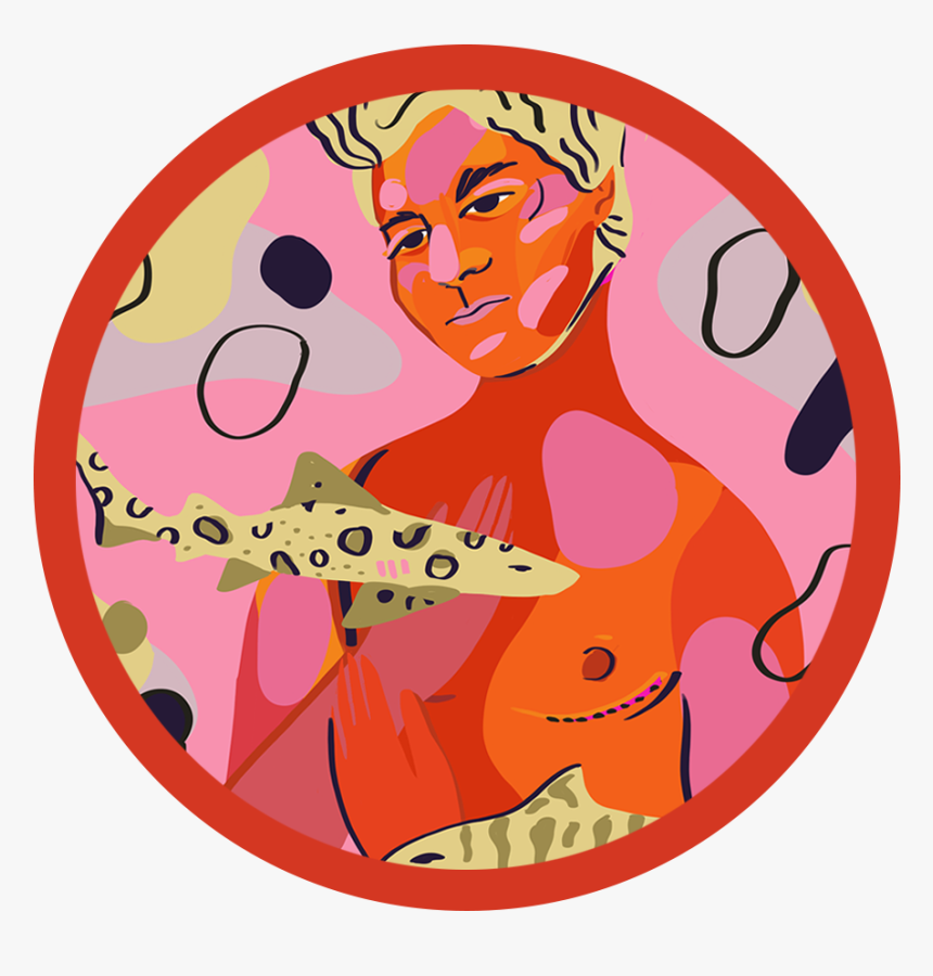 Hd Shark Bites , Free Unlimited Download, HD Png Download