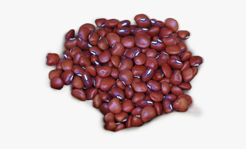 Azuki-bean - Transparent Background Kidney Bean Clip Art, HD Png Download