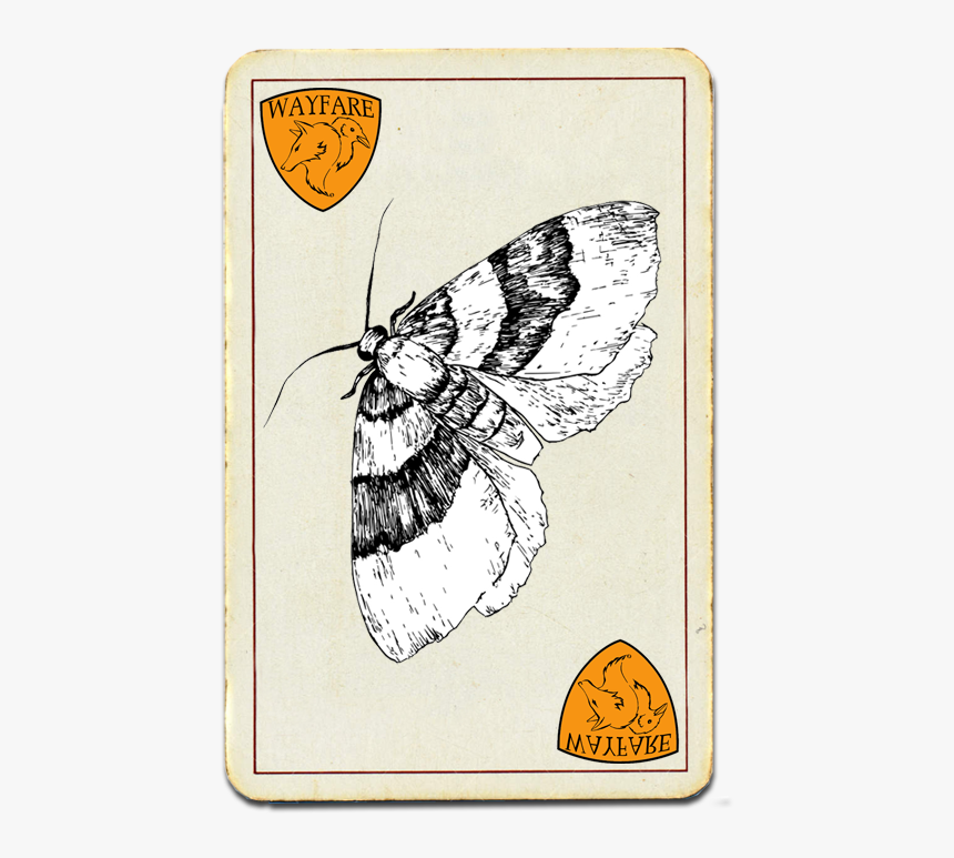 Wayfare Pest Solutions Most Wanted - Brush-footed Butterfly, HD Png Download