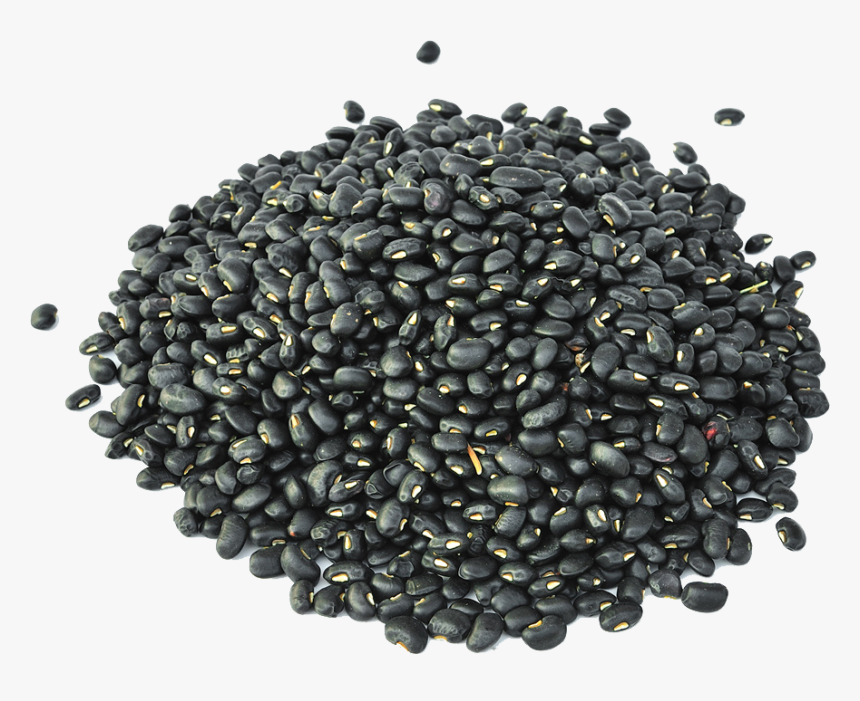 Black Turtle Bean Minestrone Sprouting - Frijoles Negros, HD Png Download