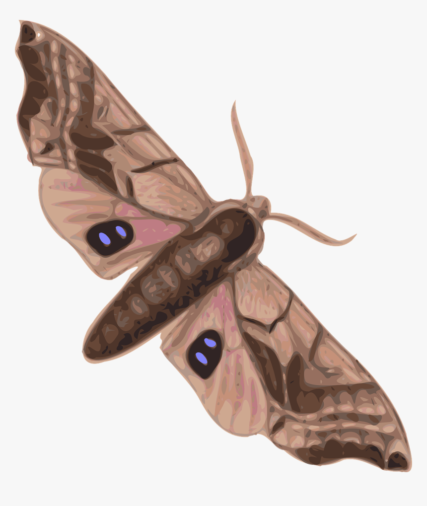 Motte Clipart, HD Png Download