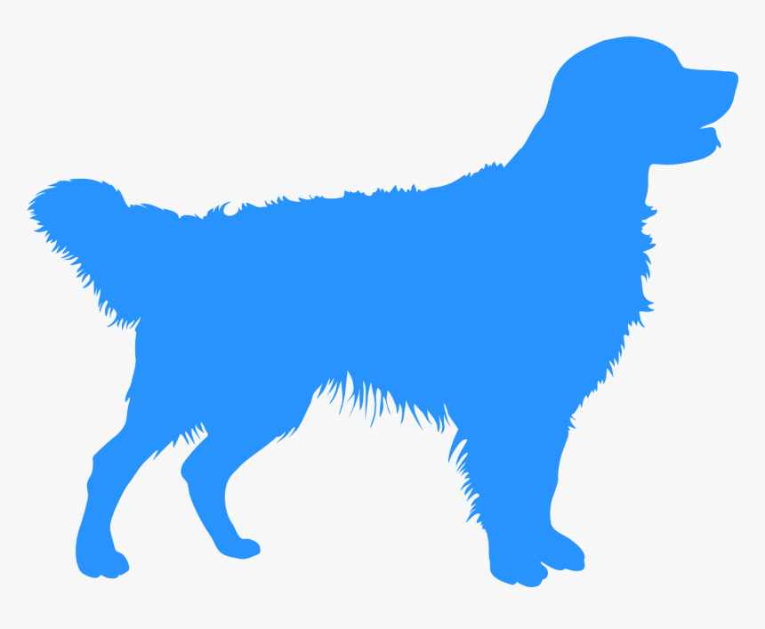 Flat Coat Retriever Silhouette, HD Png Download