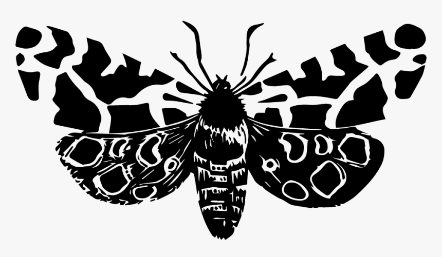 Illustration, HD Png Download