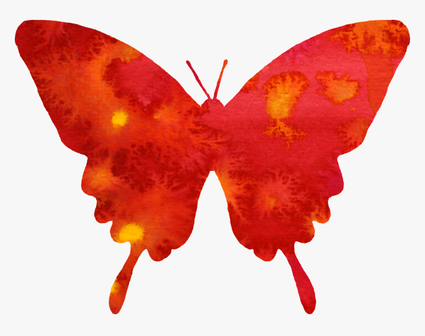 Emperor-moths, HD Png Download