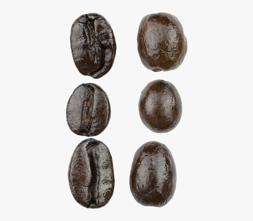 Espresso Blend Macro - Kidney Beans, HD Png Download