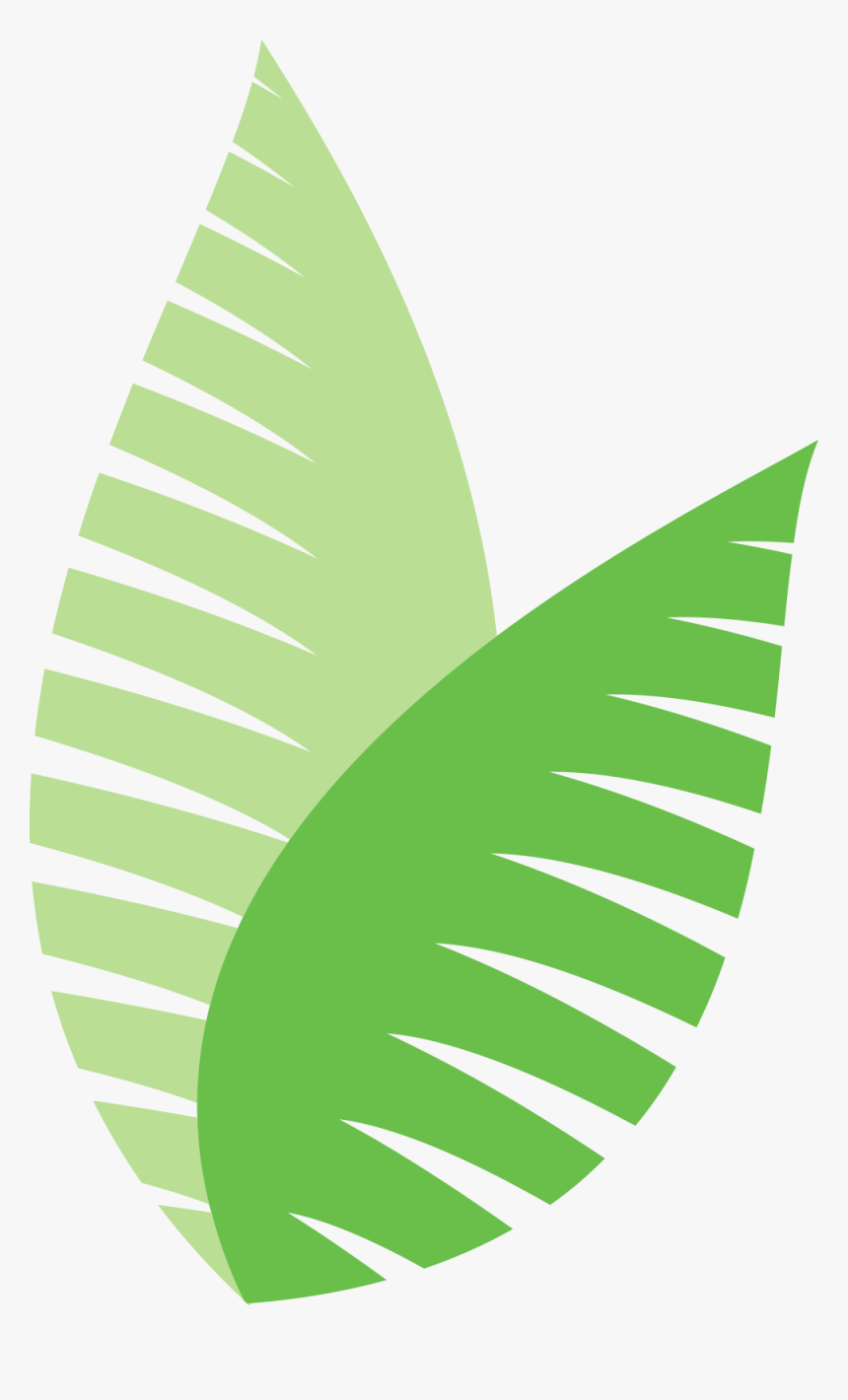 Ecodesign Pflanze Farn - Graphic Design, HD Png Download