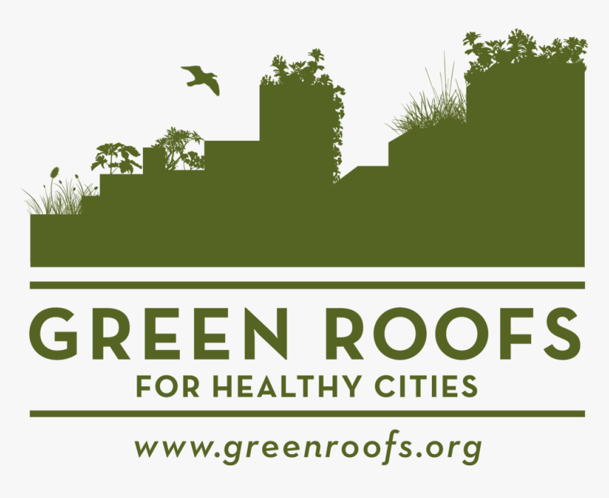 Green Design Png, Transparent Png