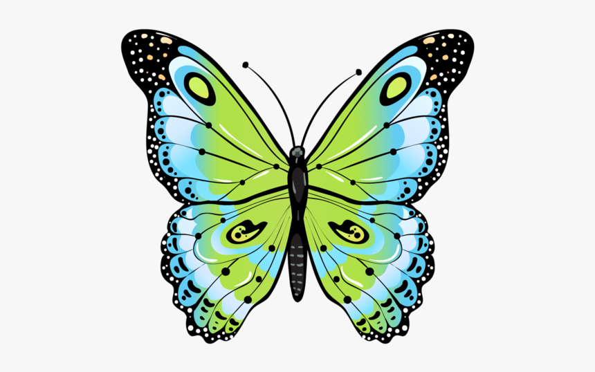 Clip Art Beautiful Moths - Butterfly Drawing Green, HD Png Download
