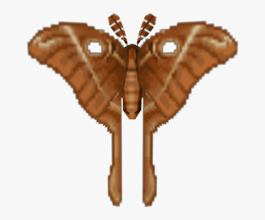 Download Zip Archive - Riodinidae, HD Png Download