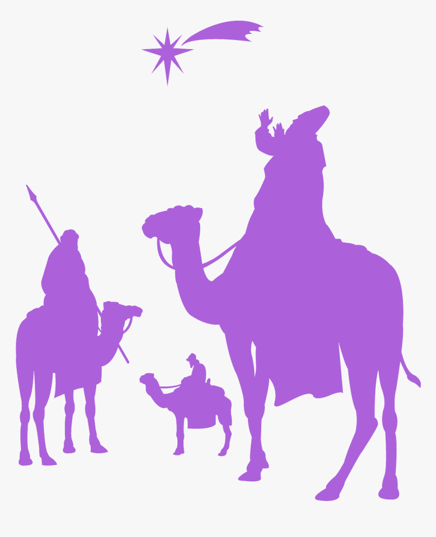 Arabian Camel, HD Png Download