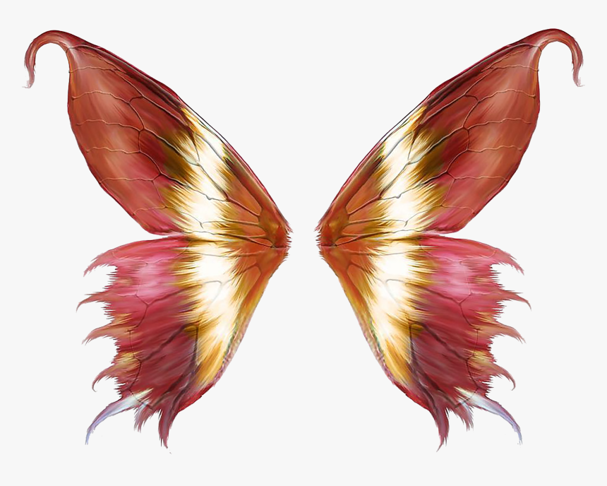 Butterfly Wings Transparent Background, HD Png Download