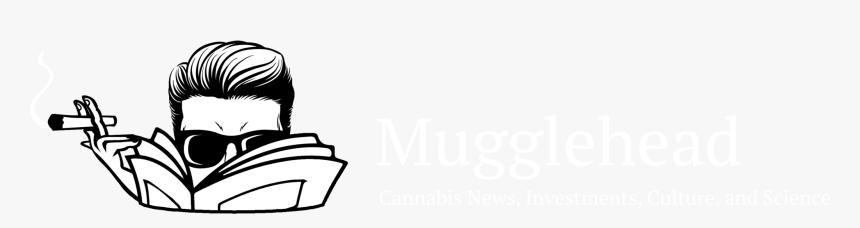 Mugglehead - Office Chair, HD Png Download