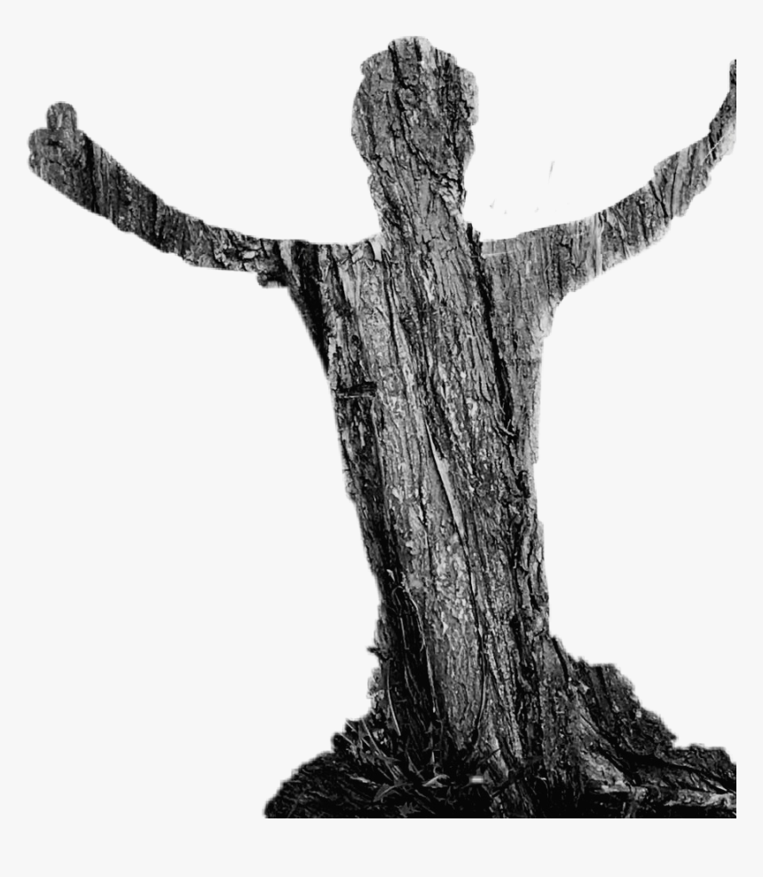 #wood #tecture #shadow #man #treeshadow - Monochrome, HD Png Download