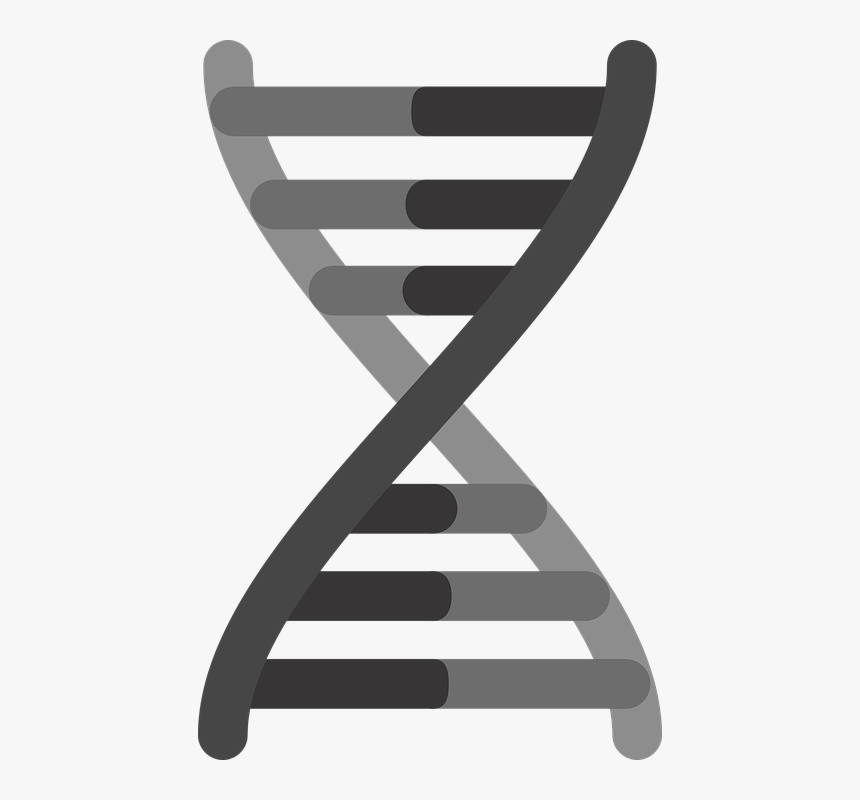 Dna Png - Genetics, Transparent Png