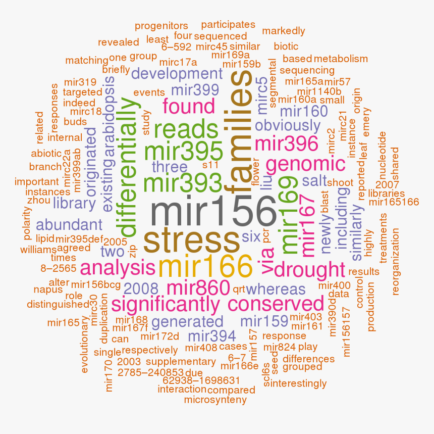 Hsa Mir 27a 3p, HD Png Download