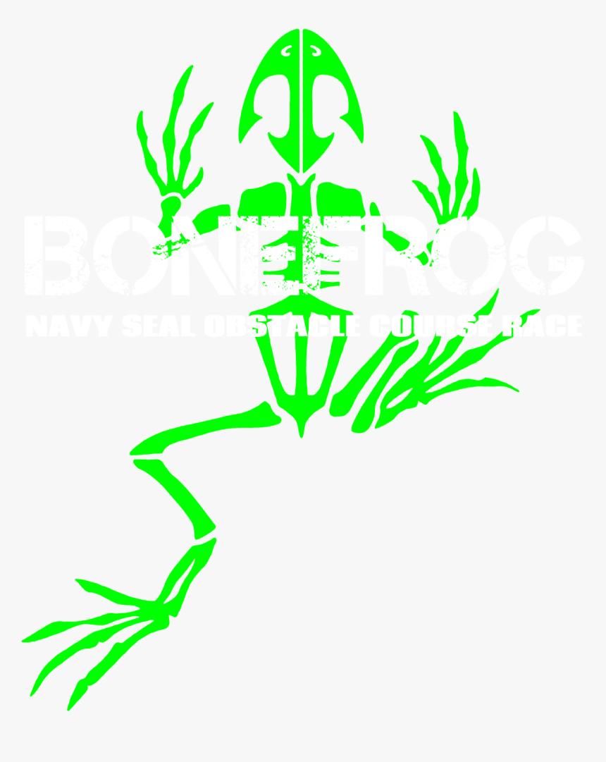 Hesco - Bonefrog, HD Png Download