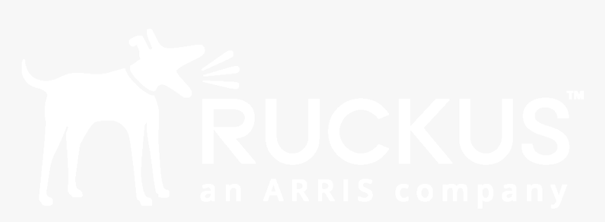 Dog Catches Something, HD Png Download