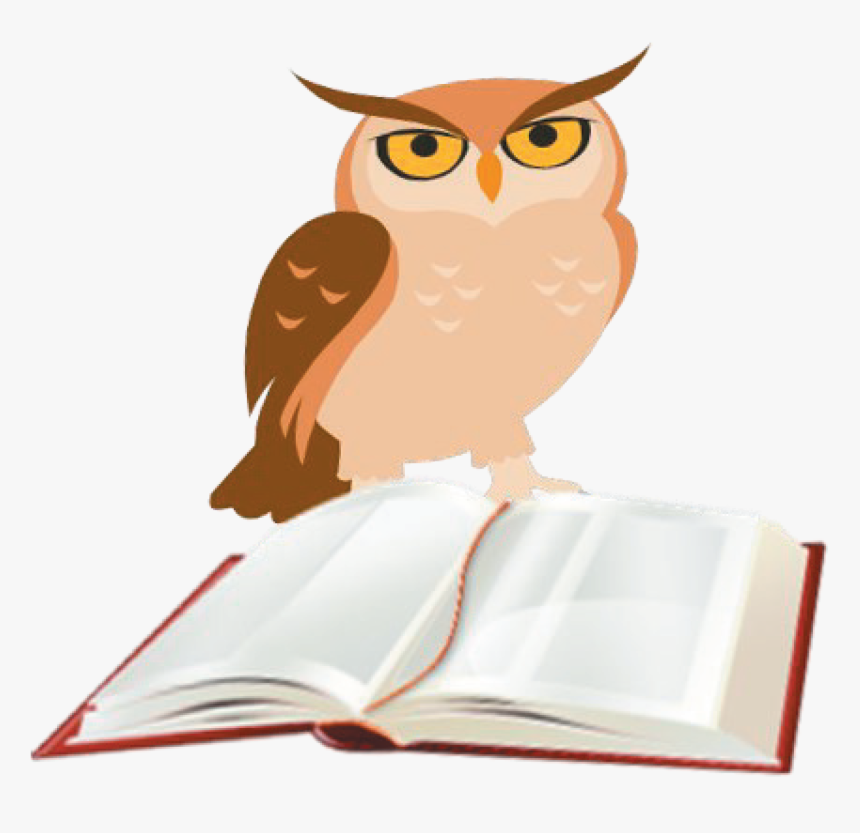 Eastern Screech Owl, HD Png Download