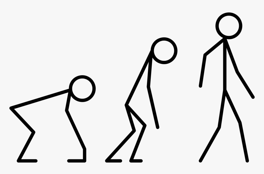 Thumb Image - Minimalist Png, Transparent Png