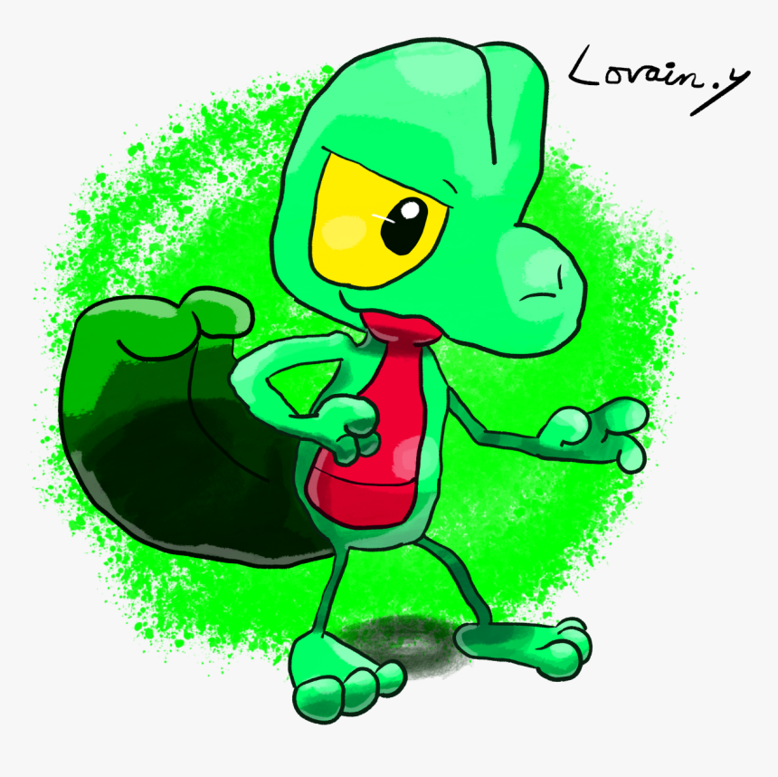 All Three Hoenn Starters 
 who’s Your Favourite - Cartoon, HD Png Download
