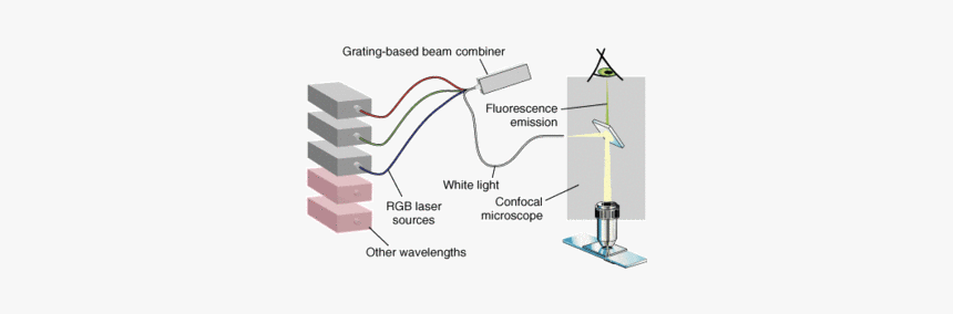 Diagram, HD Png Download