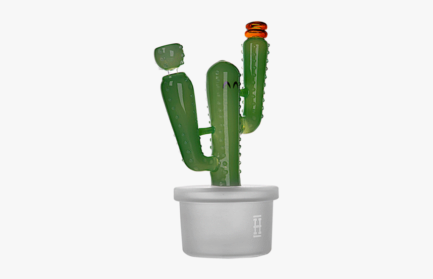 Hemper Cactus Jack Bong Xl - San Pedro Cactus, HD Png Download