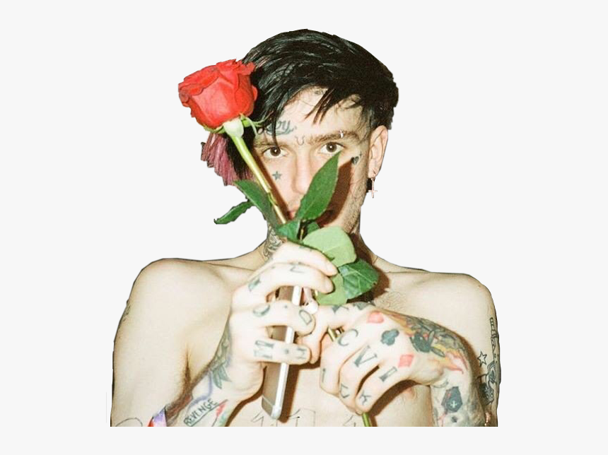 Lilpeep Lil Peep Xxxtentacion Rap Hiphop Music Boy - Feel Like I Never Died I Feel Like I M Still Alive, HD Png Download