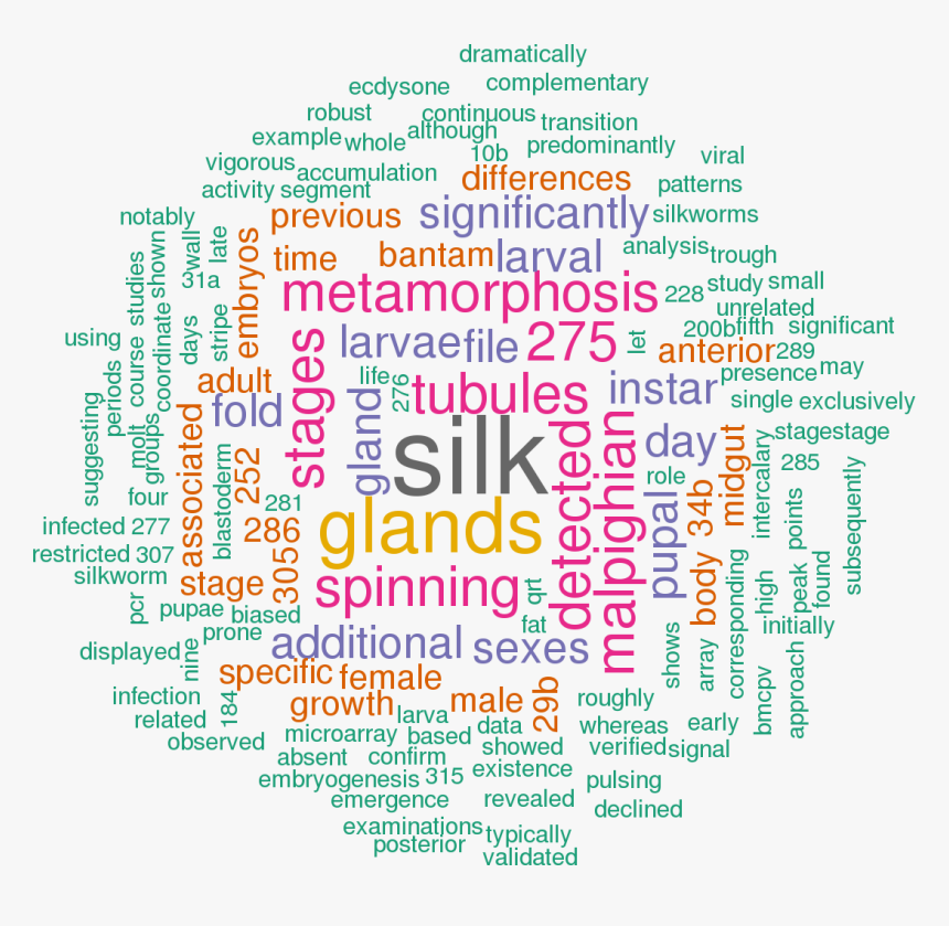 Hsa Let 7a 3p 5p 3 Utr, HD Png Download