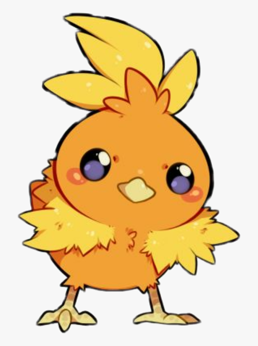 #torchic #pokemon #hoennstarter #hoenn #kawaii #anime - Cartoon, HD Png Download