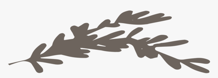 Calligraphy, HD Png Download