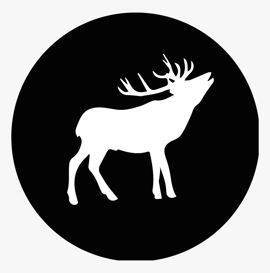 Wild Foods Logo, HD Png Download