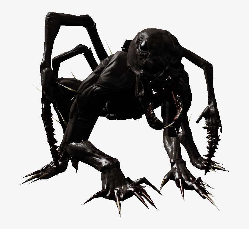 Crawler - Spider, HD Png Download