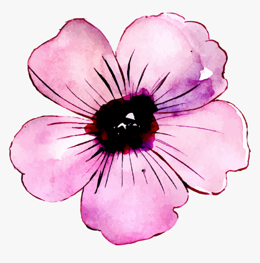 Petunia, HD Png Download
