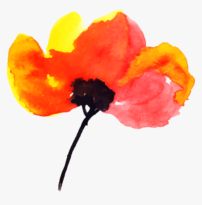 Corn Poppy, HD Png Download