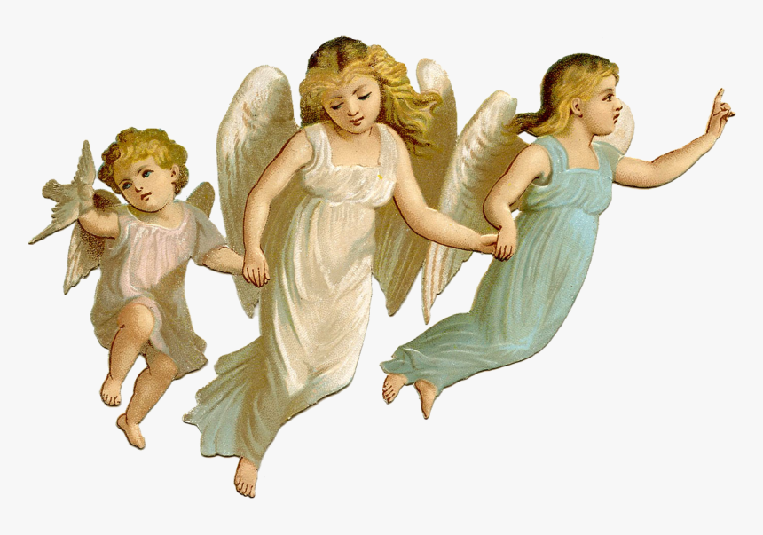 Angel Png, Transparent Png