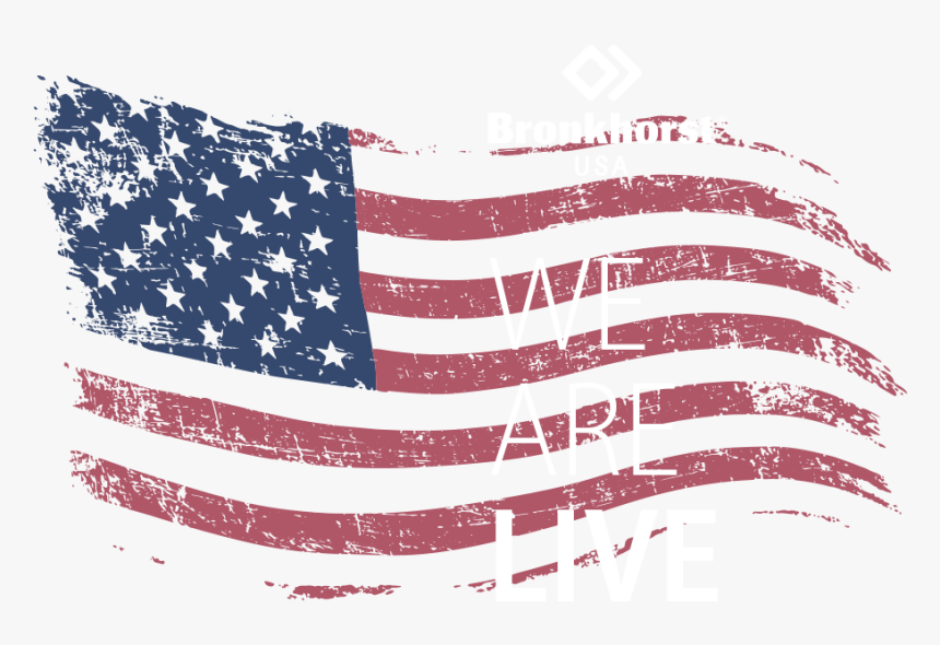 We Are Live - Valley Forge Flags 50 Stars, HD Png Download